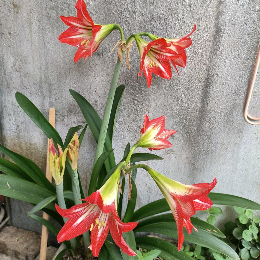 生活美满