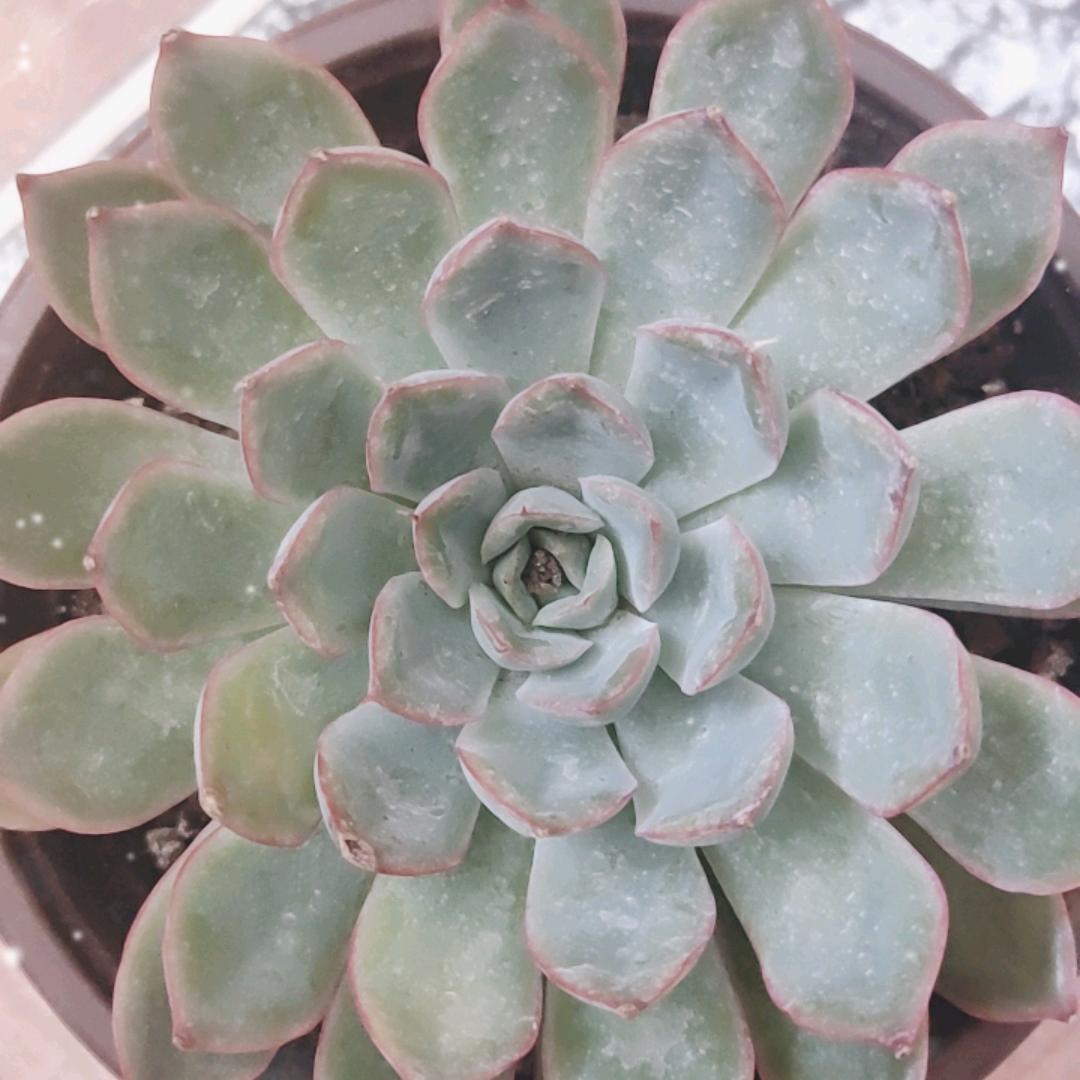 开心！幸福每一天