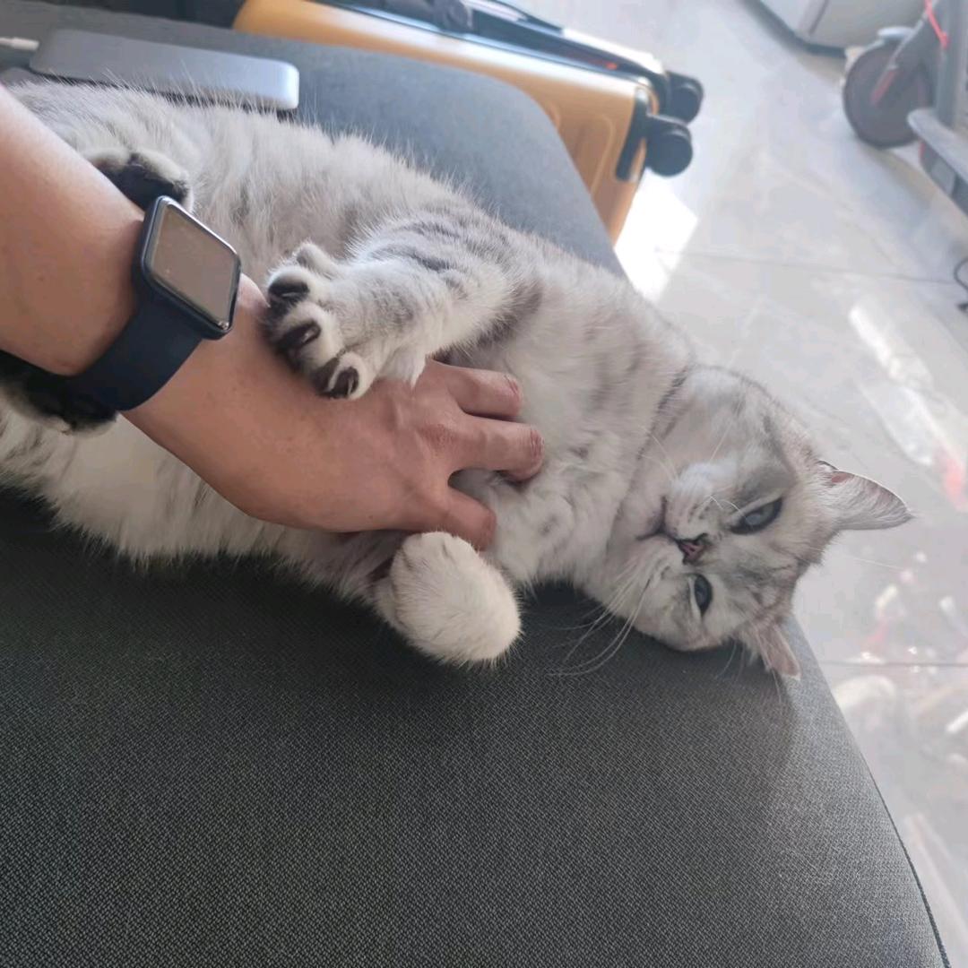 南辞晚