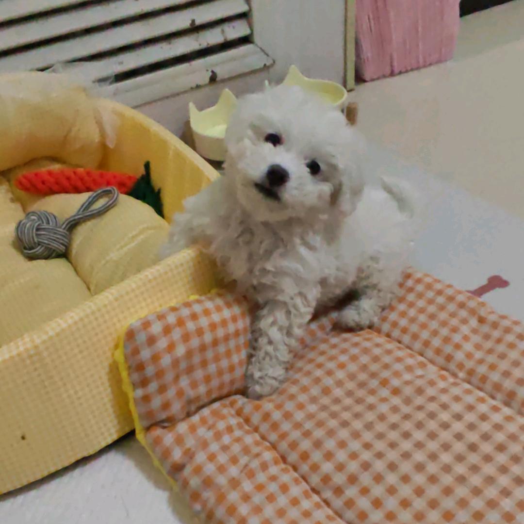 愿你我好景常在