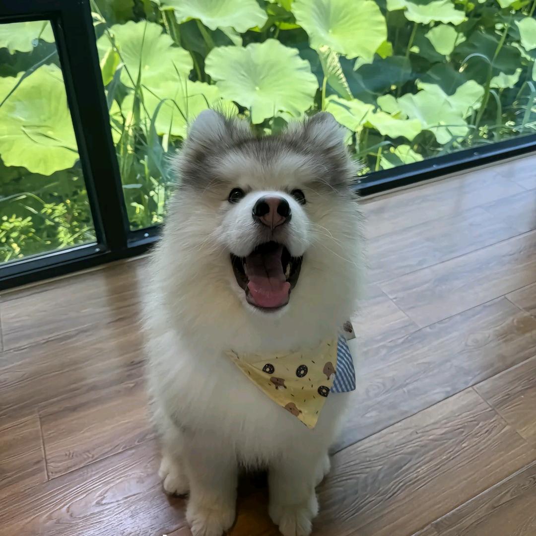 零六年的灵