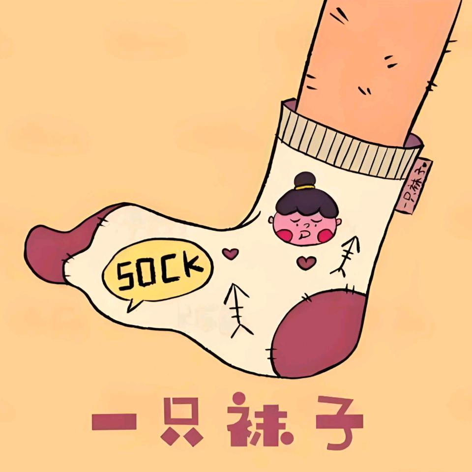 新疆长绒棉棉袜 🧦一只袜子🧦