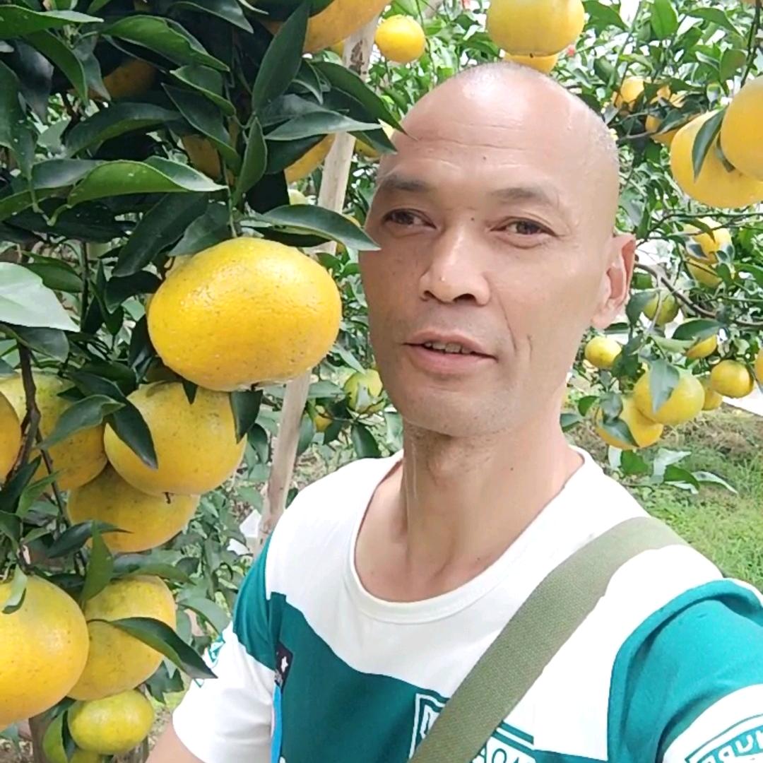 果农强哥