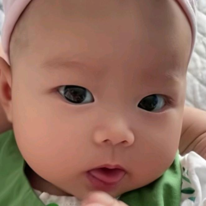 淡淡的生活