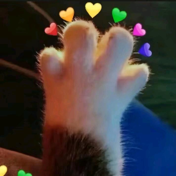 讨厌练琴（一只小萌萌）