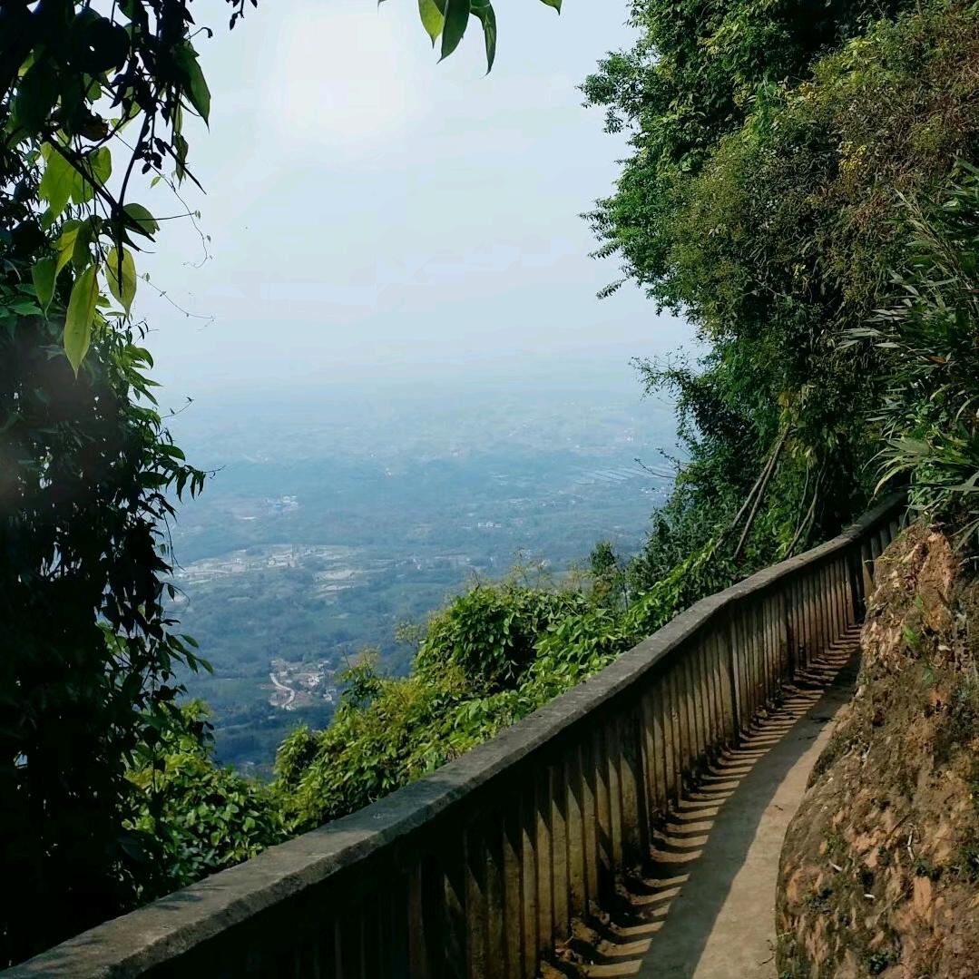 农村-周大嫂