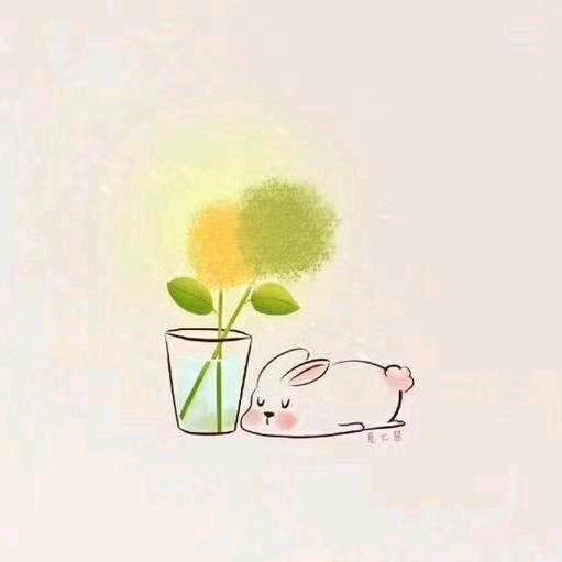 🐬好运的小e  菲利丝版本《太多》上线