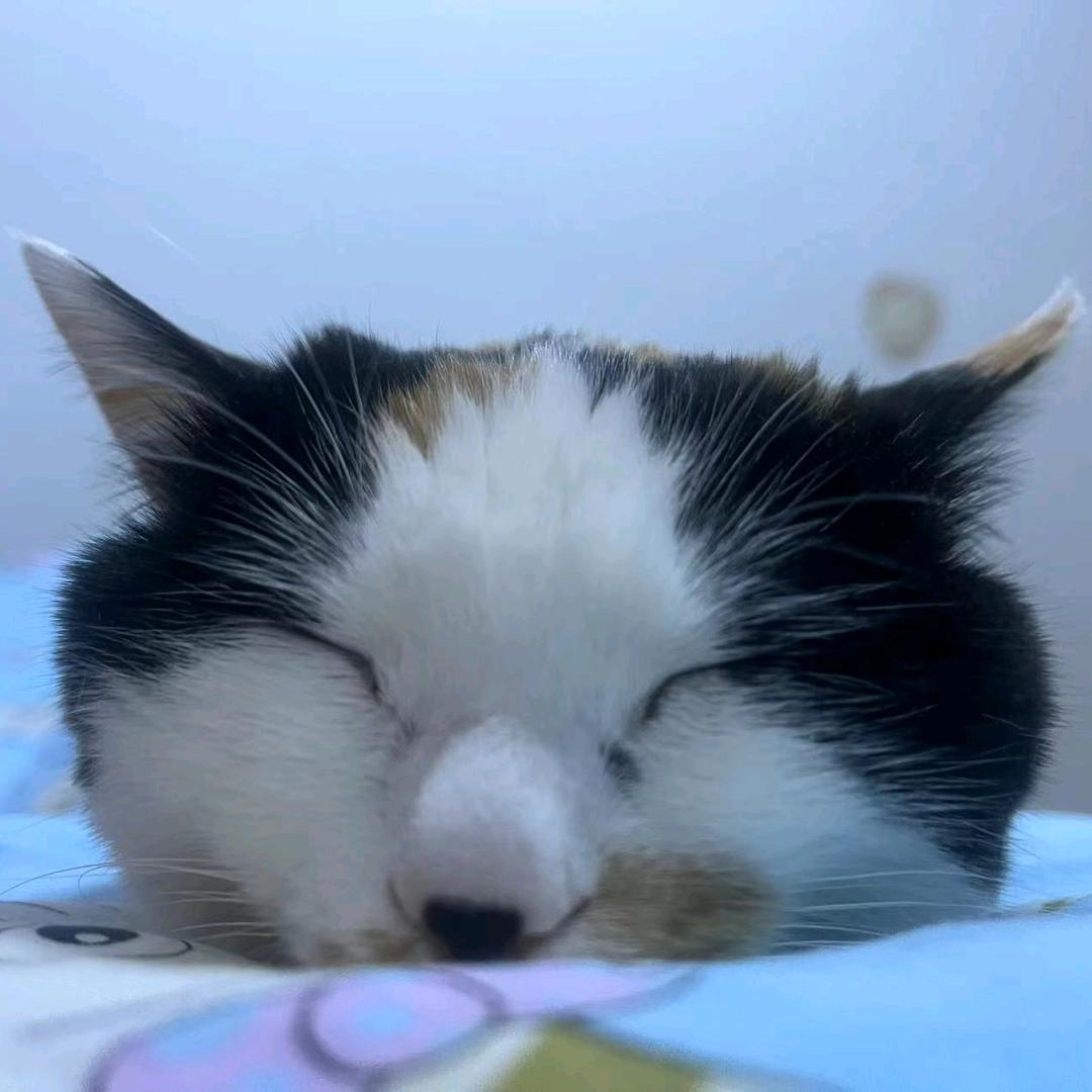 暖暖🌞