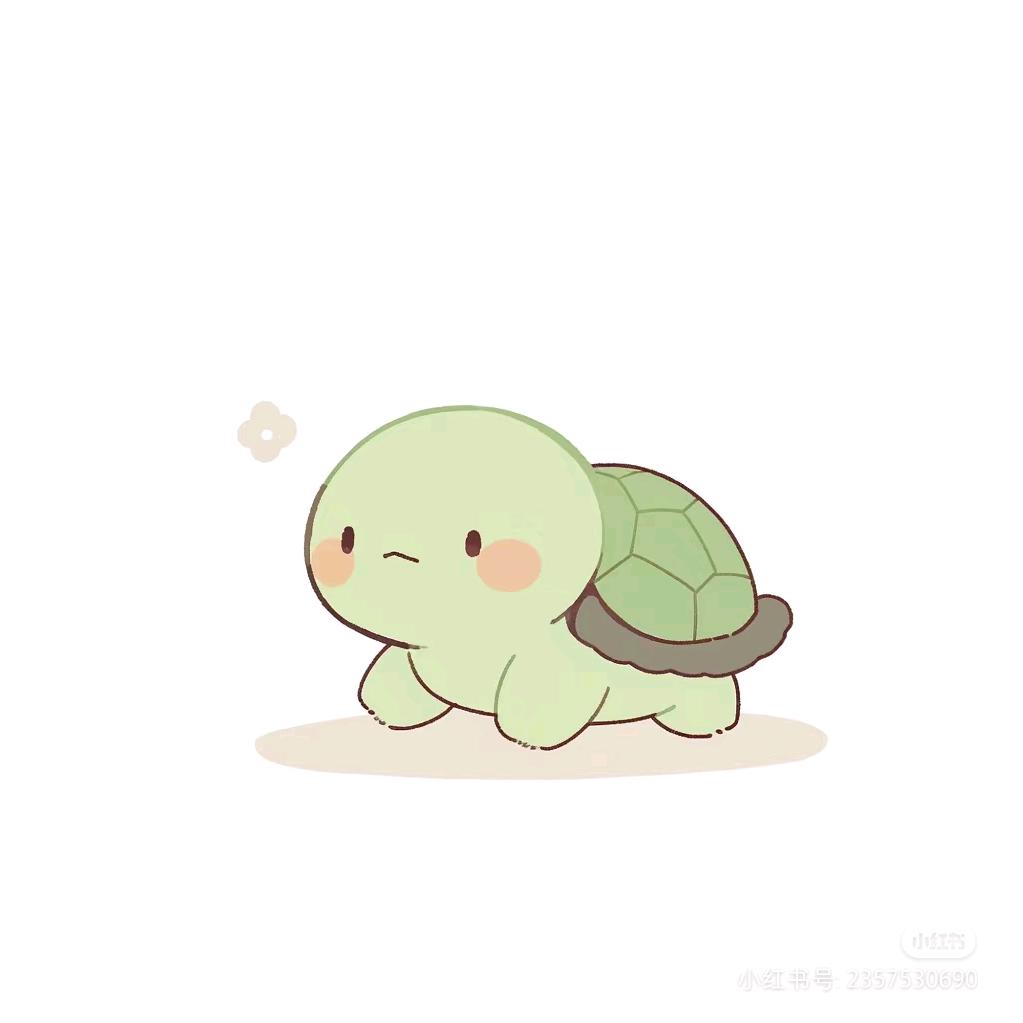 水淼的龟龟