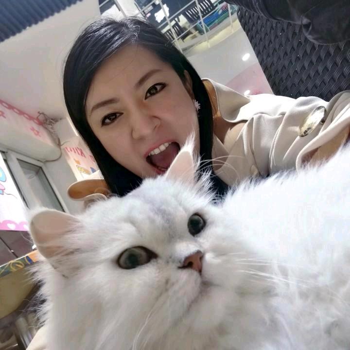 艺子的小屋