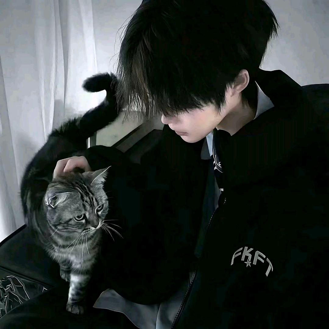 倾情