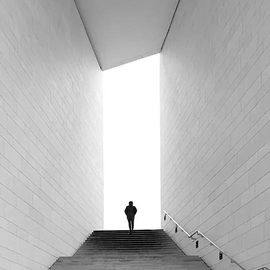 只昂张✌️✌️✌️