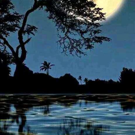 白天的月亮1918065591