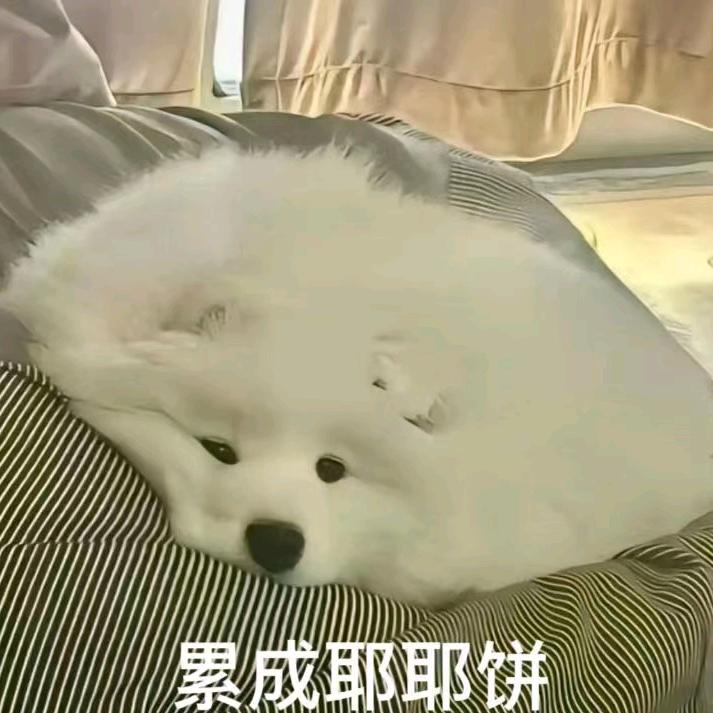 星星知我名