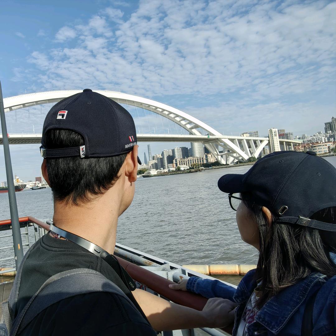 梦蝶