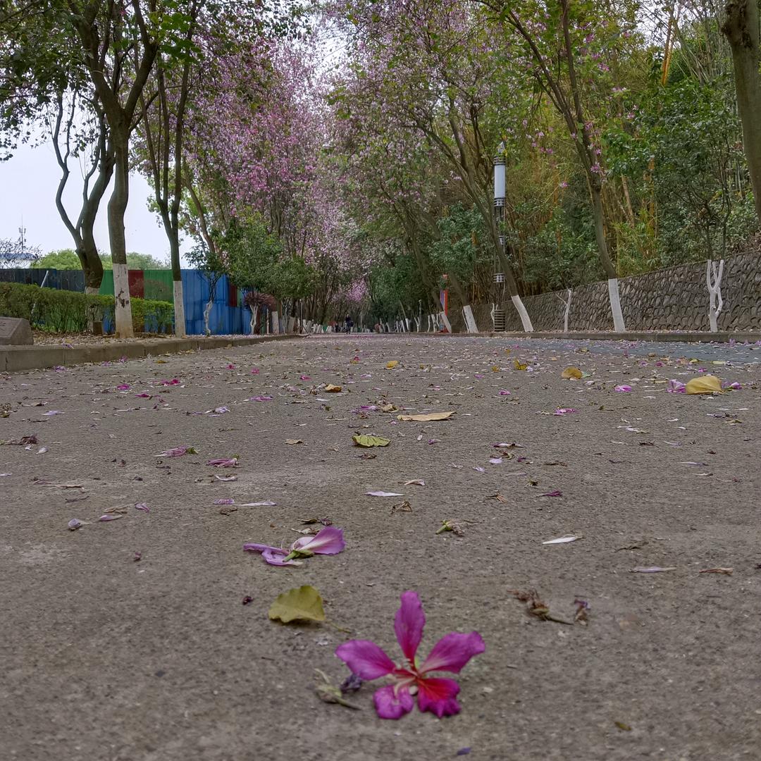 黄老师~学无止境