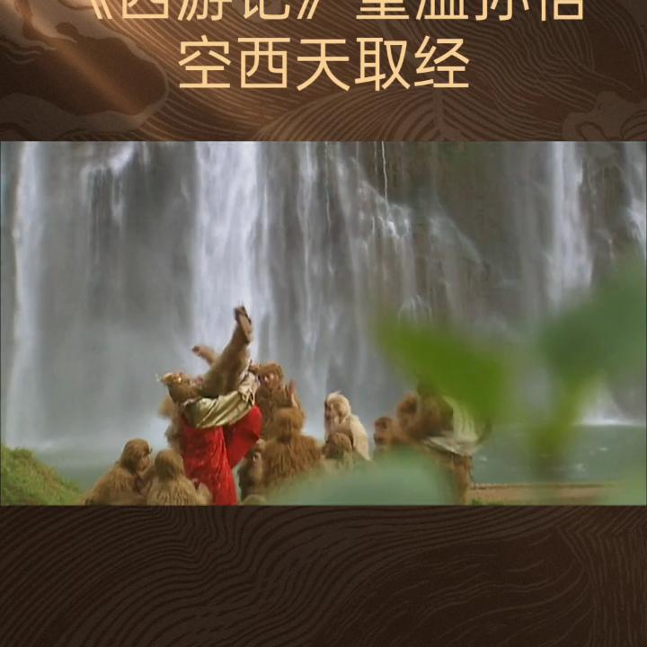 苦瓜花