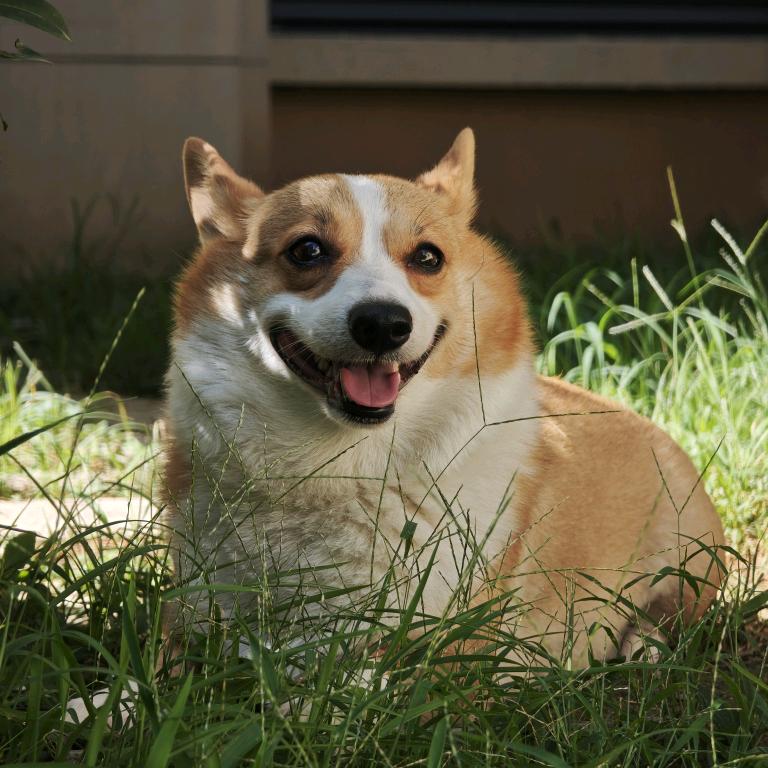 奇迹行者还在刷野