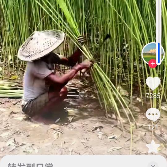 独醉