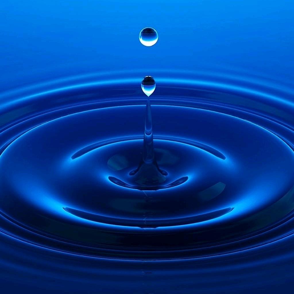 初衷（艾斯卡尔）