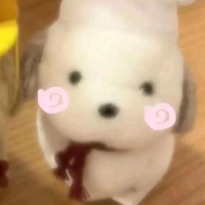 丸啦呀