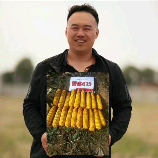 🔥农业崔老板