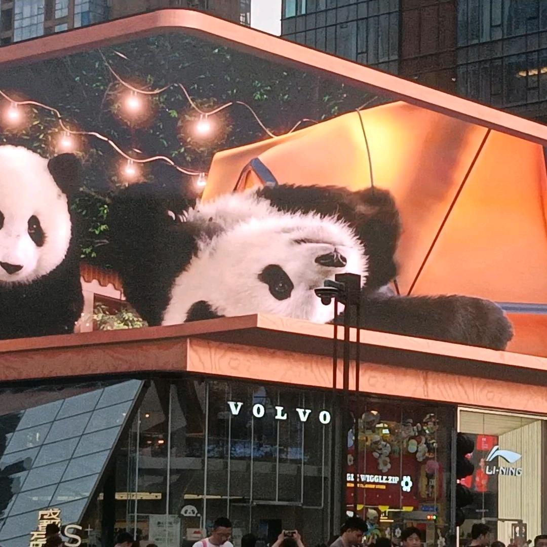 悠悠树洞倾诉房