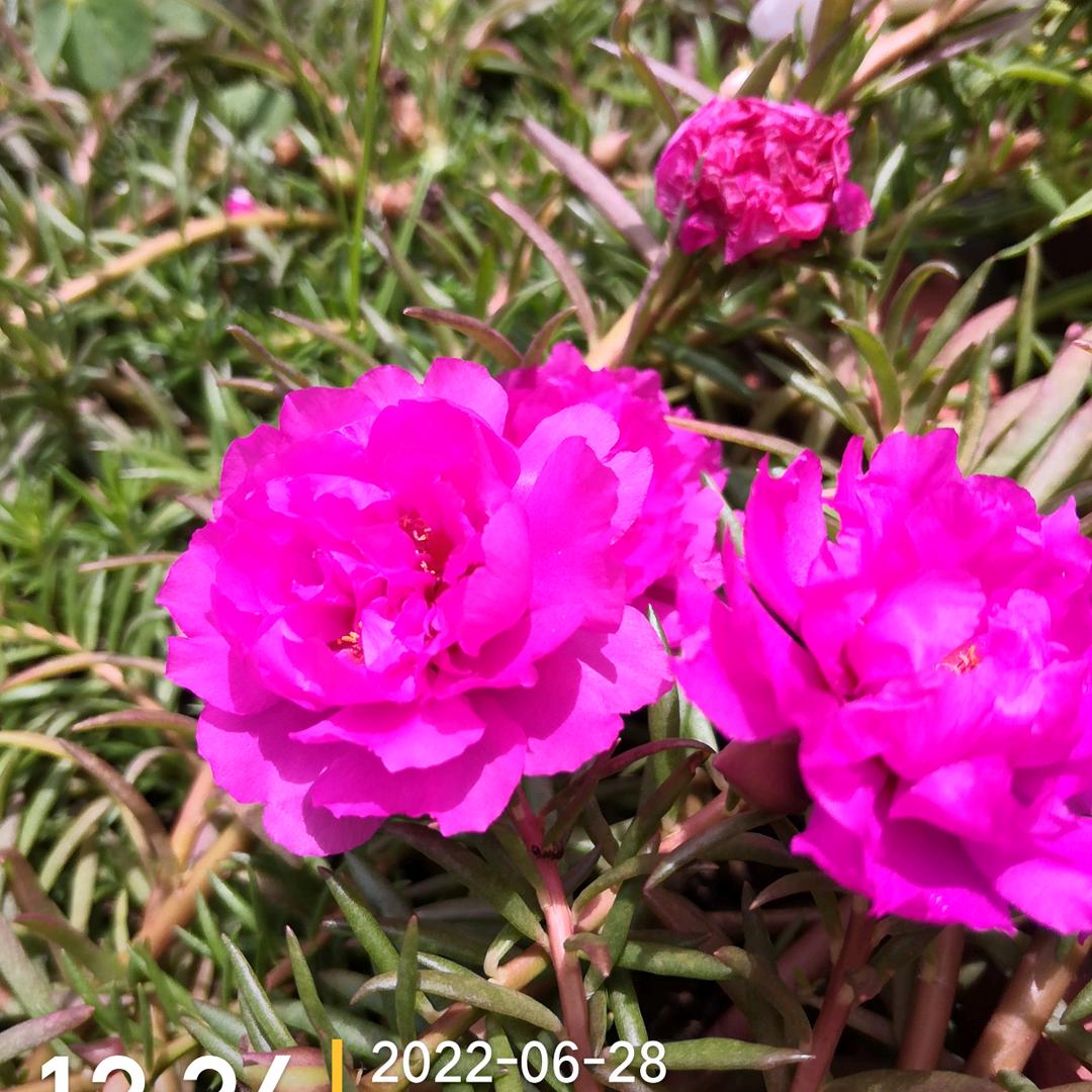 用户4881563891073桂兰