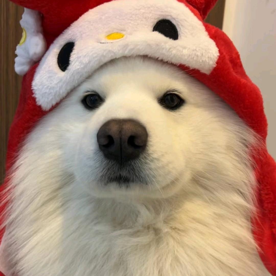 云殇