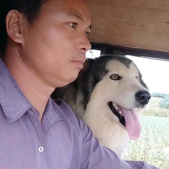 地球是圆的