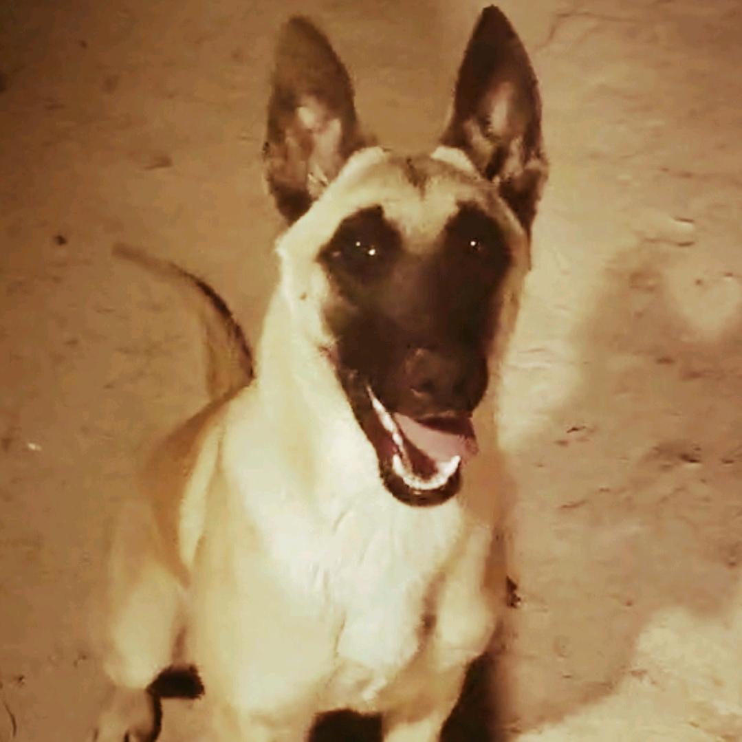 祁少@(〜￣▽￣)〜