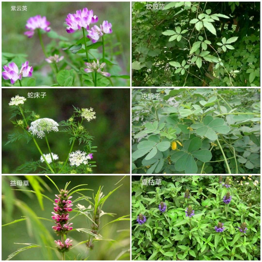 爱妈分享生活小妙招