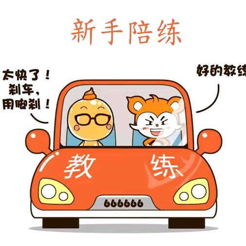 老史陪驾、陪练