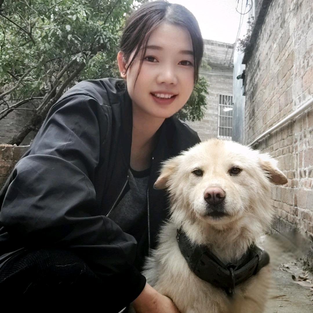 燕子呀$