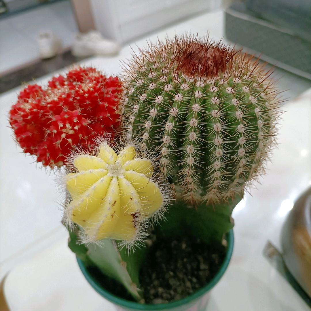 知足常乐😊