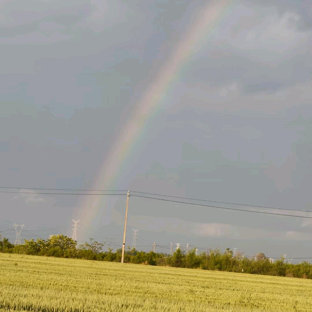 桃花依旧笑春风639369123
