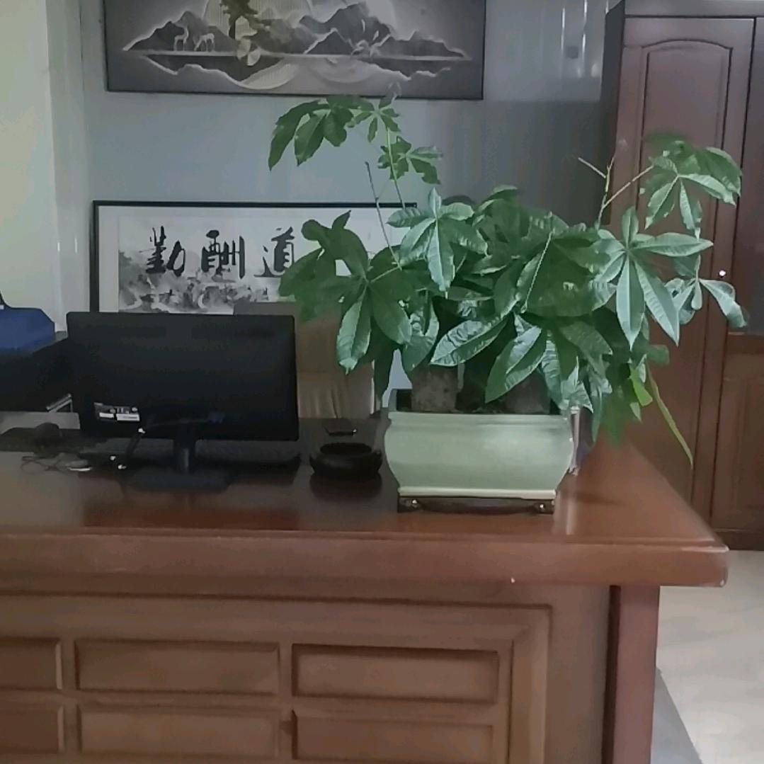 梅姐