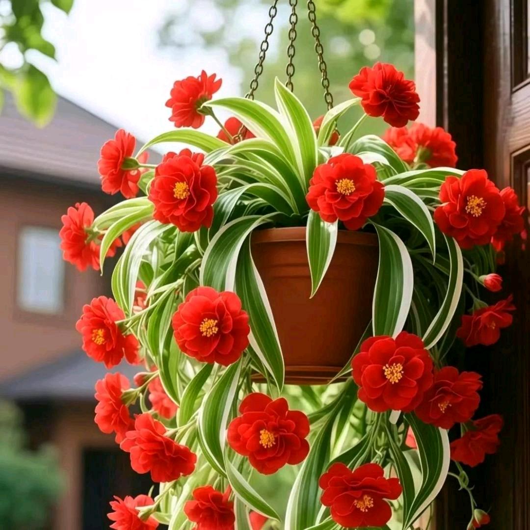 辣妹子舞蹈队。💖你