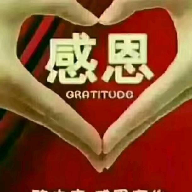 鑫鹏铝业★铝线，钢丝线，熟铝