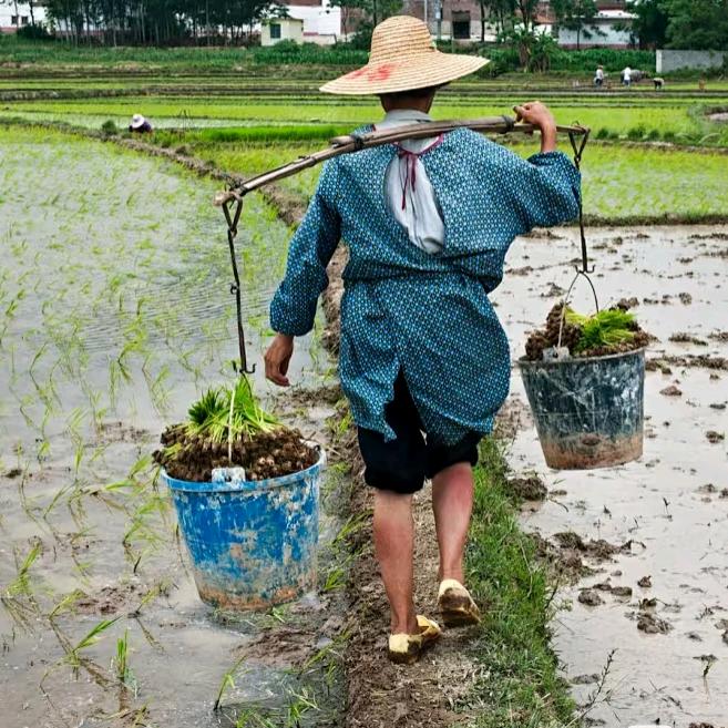 八零田园（商品在橱窗）