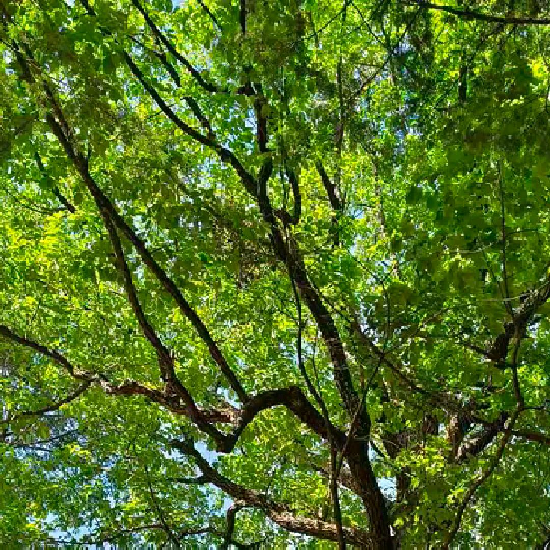 人生路如何走🍀🍀🍀🍀