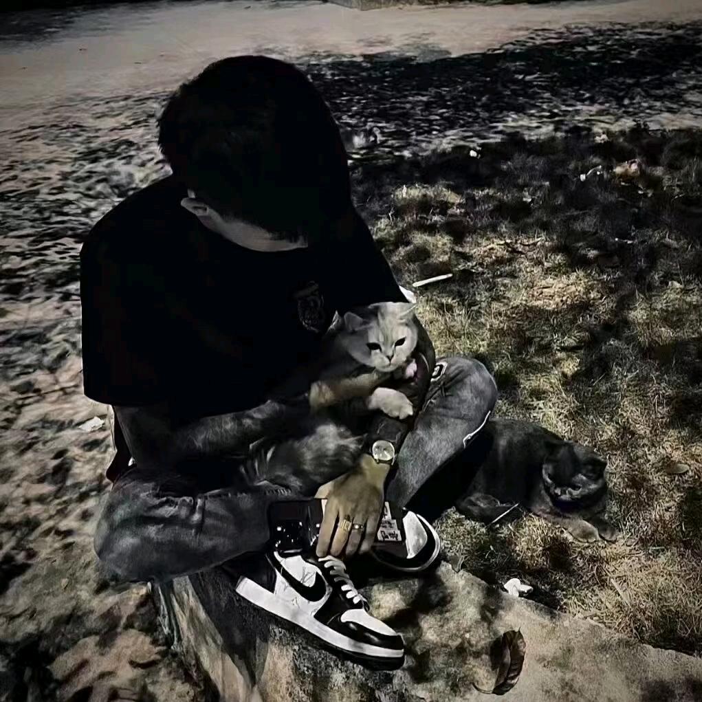 艾双