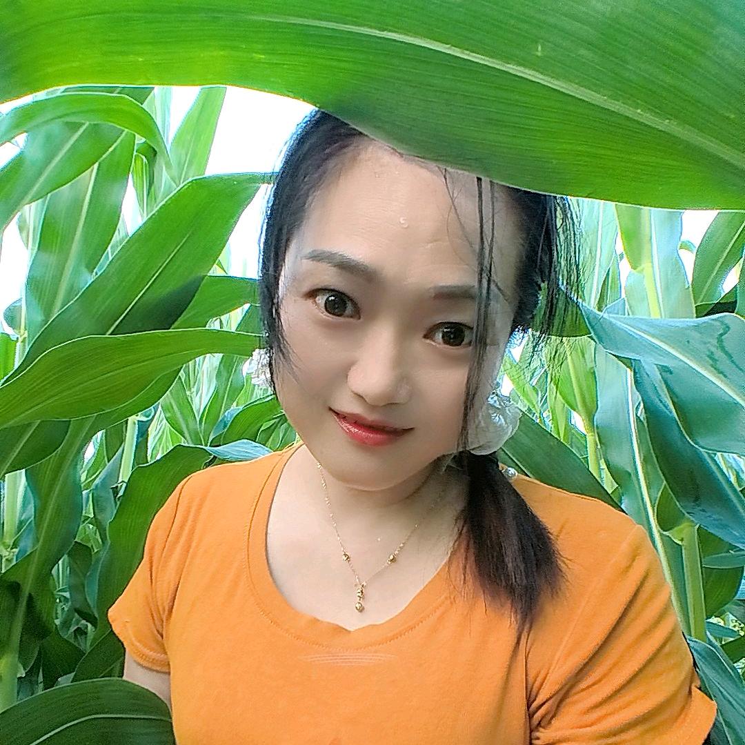 苏宁小谢