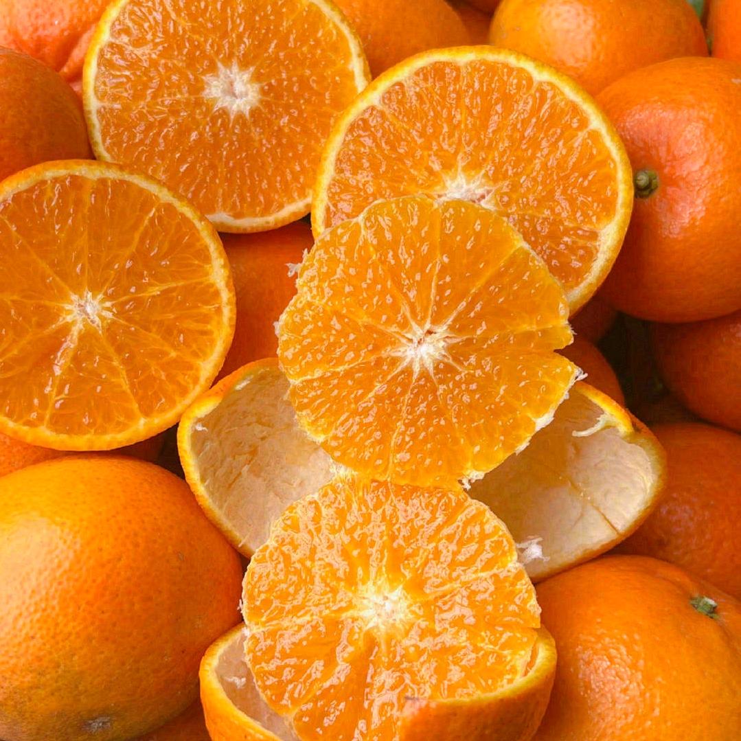 《王哪跑鲜果》🍓🍓