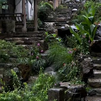 💤张🌽邵玲Dr.