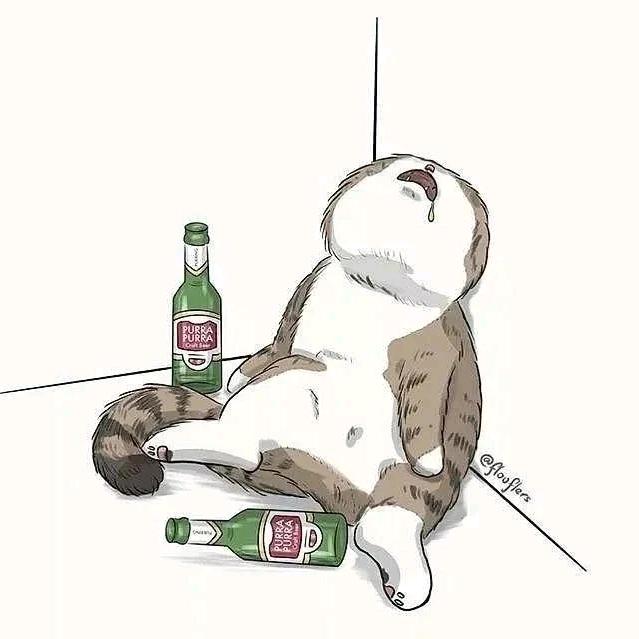 皮皮会招财