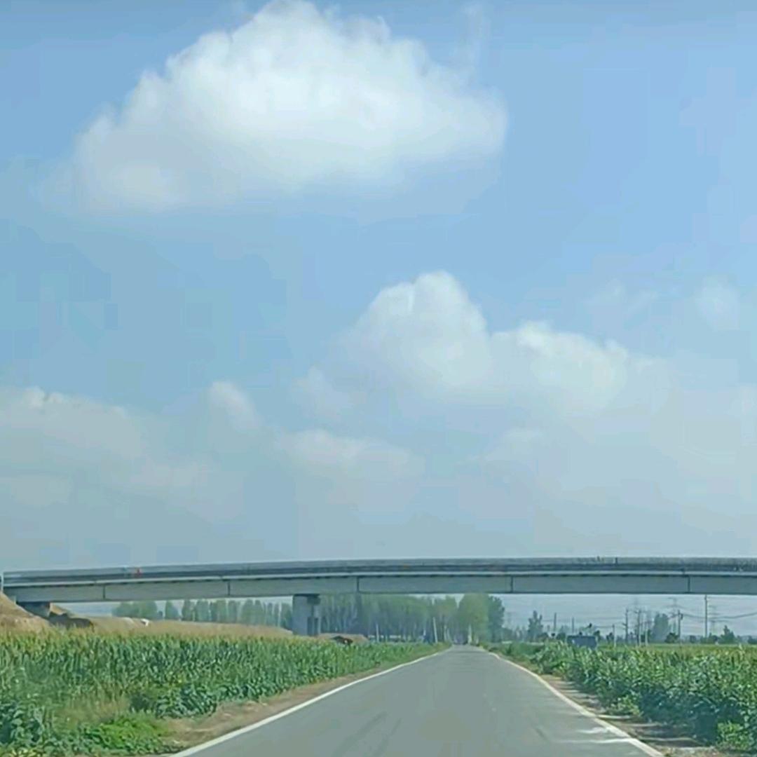 人生