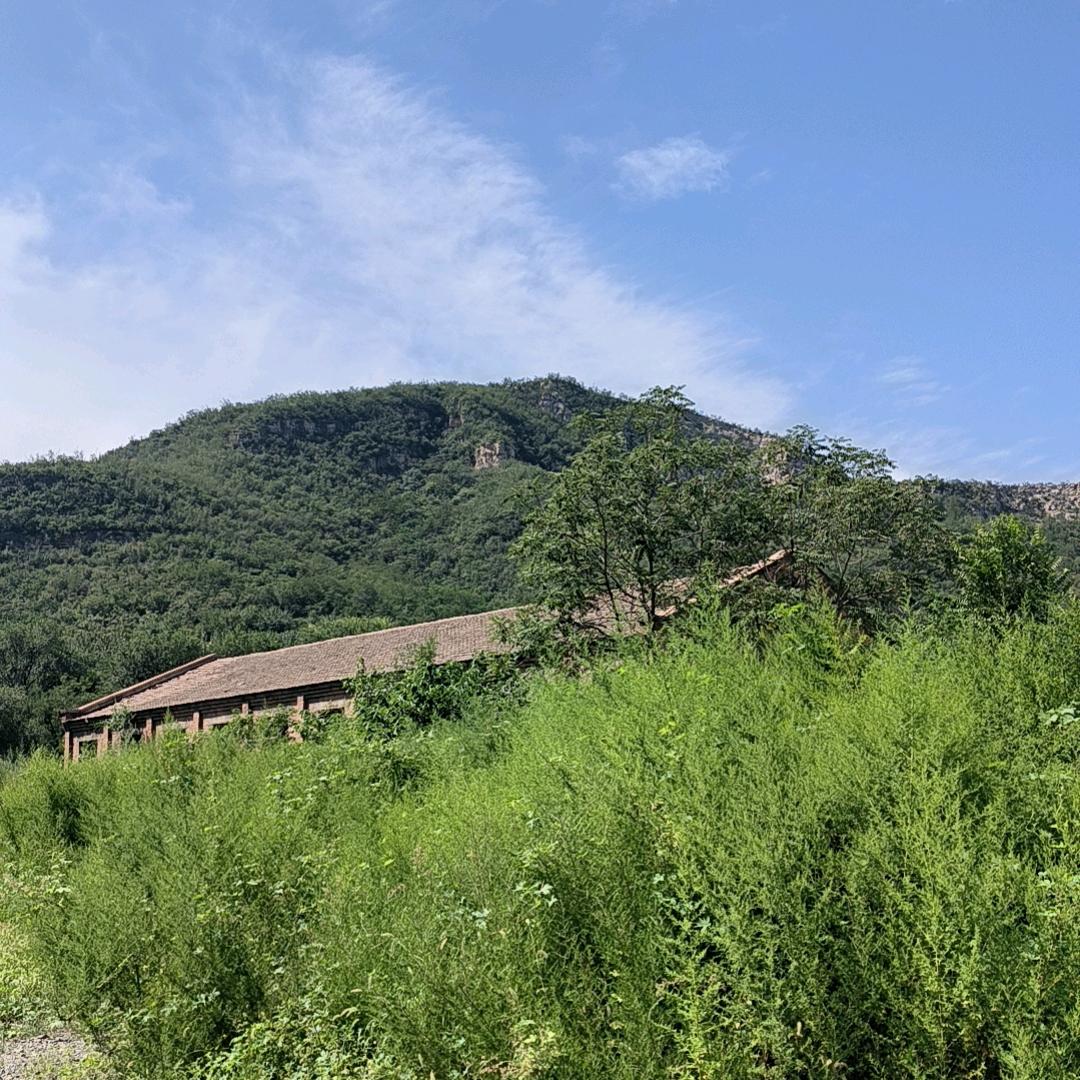 向阳而生⌓‿⌓