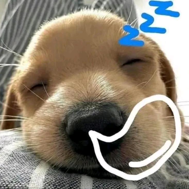 揪你肥脸Ф