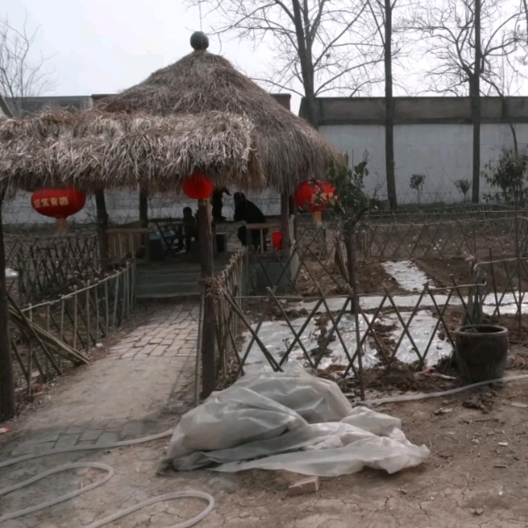 落陌余生